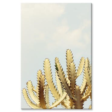 Tableau photo plexiglas cactus dentelé