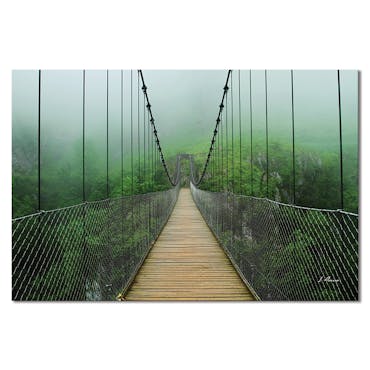 Tableau photo plexiglas pont suspendu en forêt