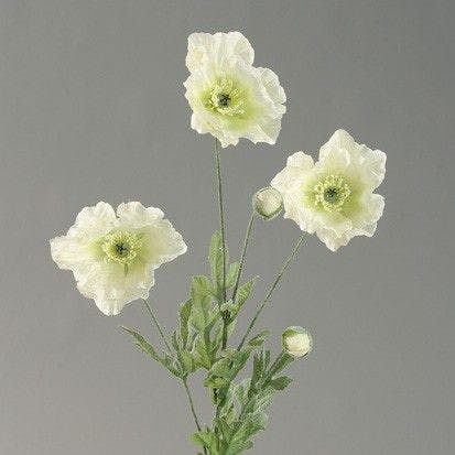 Tige pavot 5 fleurs blanc