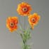 Tige pavot 5 fleurs orange/jaune