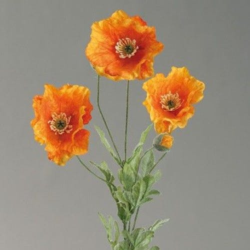 Tige pavot 5 fleurs orange/jaune