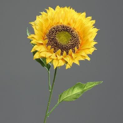 Tournesol jaune, 67cm