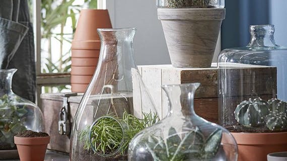 Vases et cache-pots : en verre, en céramique...